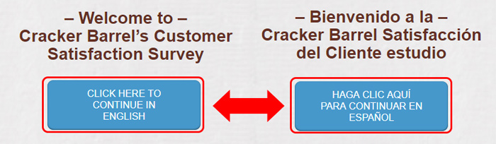 cracker barrel survey language