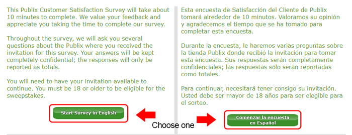 publix survey language options
