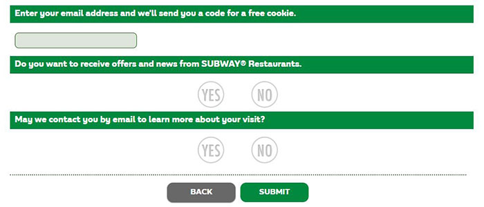Subway Survey end