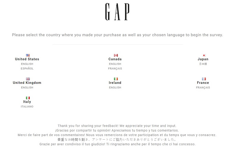 gap survey screenshot